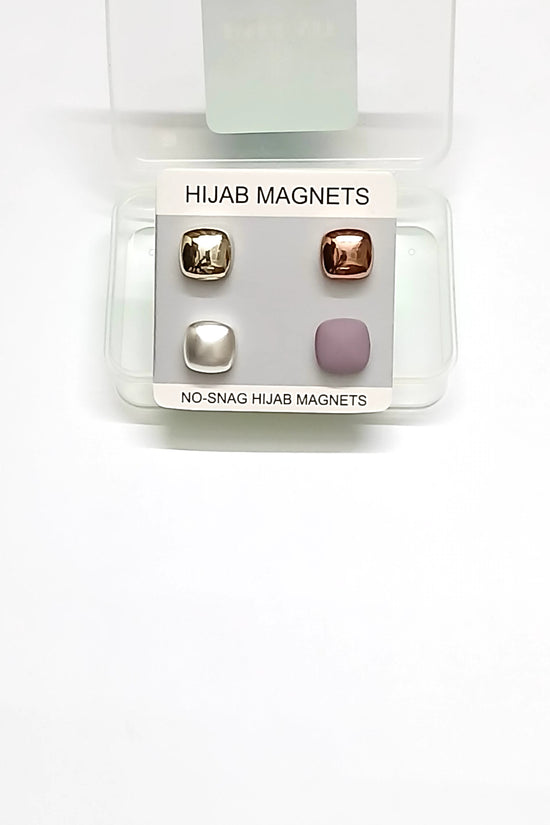 Magnet Pins Multicolor (Pack of 4)
