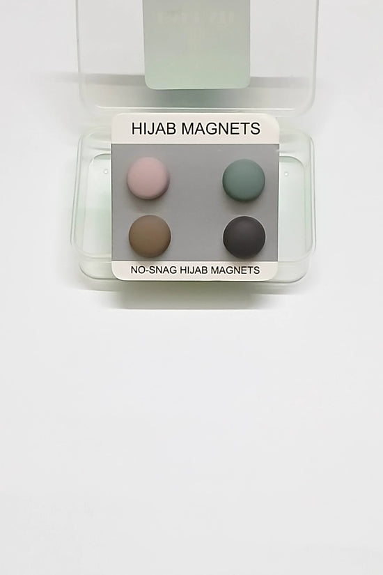 Magnet Pins Multicolor (Pack of 4)